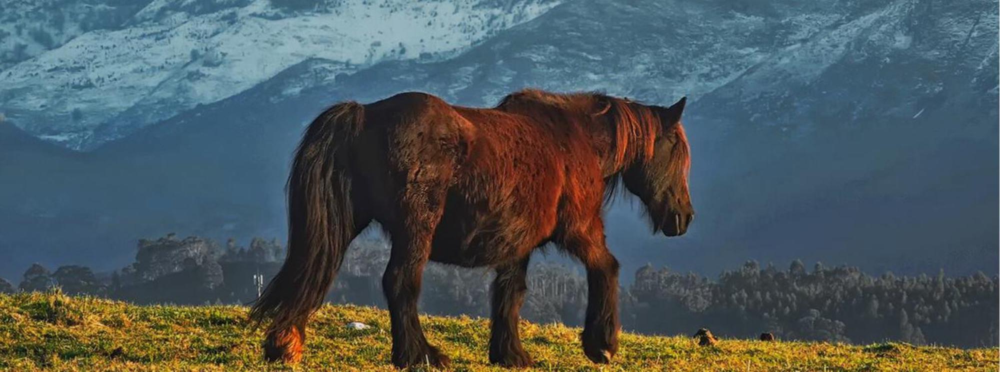 Villahormes El Pedroso De Llanes 빌라 외부 사진